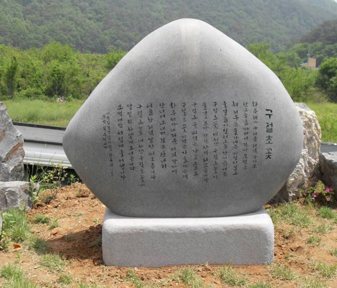 23.구절초꽃(김용택시인)